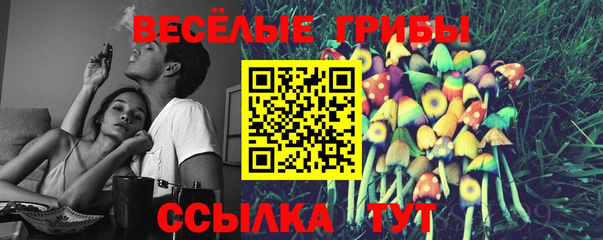 Кимры  Псилоцибиновые грибы Psilocybine cubensis  Галлюциногенные грибы Cubensis  Вход с VPN 