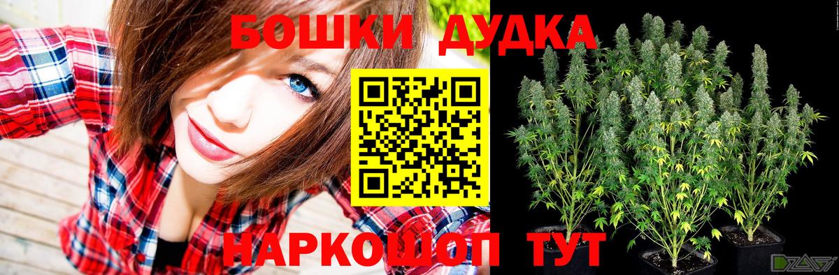 Кимры  Бошки марихуана ГИДРОПОН  Конопля конопля  Канабис тримм  Вход с VPN  Шишки марихуана планчик 
